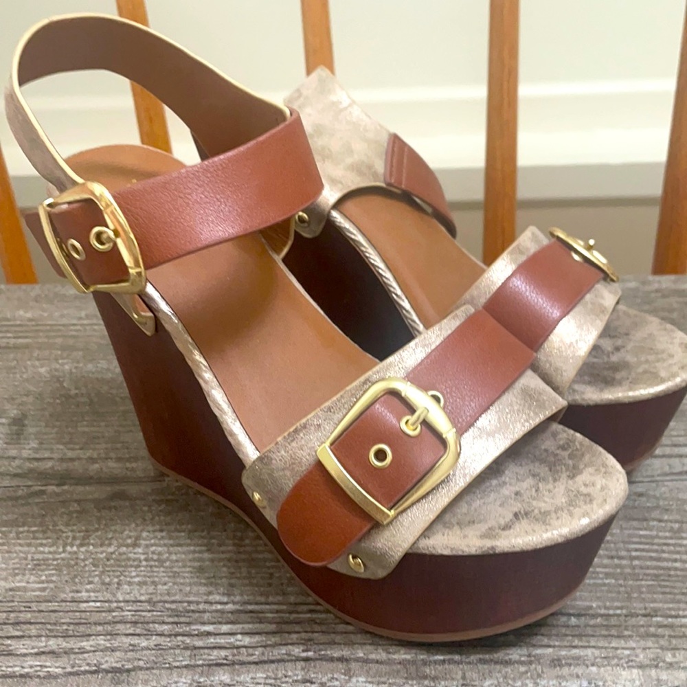 Brown and Gold Wedges